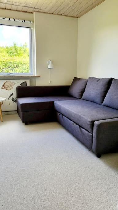 Thuya Rica House Villa Billund Eksteriør billede